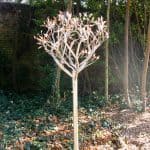 Copper Bloom was a private commission as a feature piece of Garden Sculpture and focal point in client’s garden designed in Stainless Steel & Copper