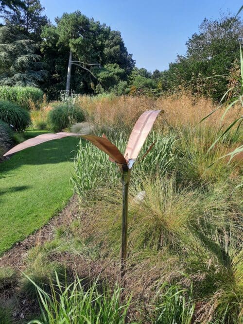 Seedling is a unique Garden Sculpture  chosen to be exhibited at Sculpture in Context 2021 at the National Botanic Gardens Dublin. Seeding is a freestanding sculpture designed in Stainless Steel & Copper with fresh ideas and new growth implied in the design.
