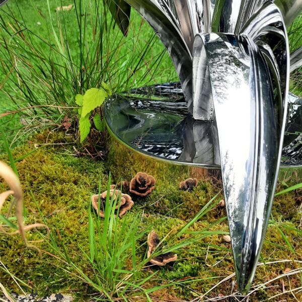 Oasis 121201.jpg square