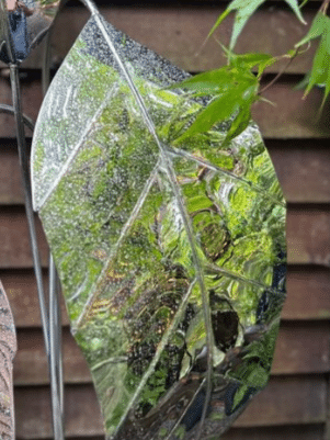 Flamingo Stainless Steel Sculpture inspired by emerging growth in the springtime by Grant Designs. 