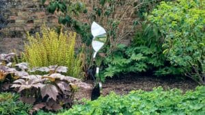 Harlequin Stainless Steel Sculpture by Grant Designs at ForM Sculpture Exhibition Bangor Castle 2026